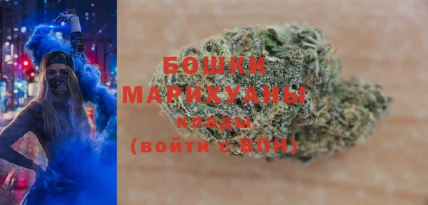 PSILOCYBIN Горнозаводск