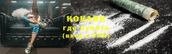 не бодяженный Горно-Алтайск