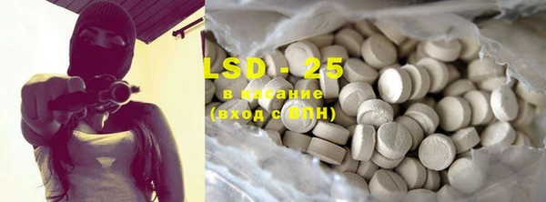 PSILOCYBIN Горнозаводск