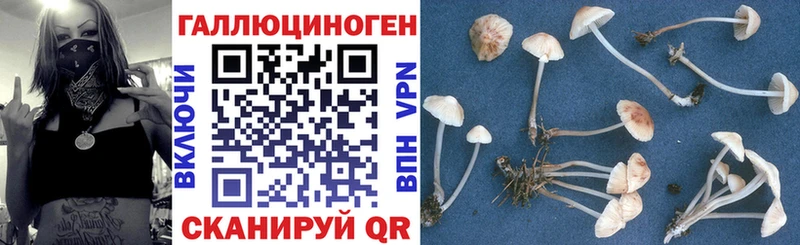 Купить закладки  Карталы  Галлюциногенные грибы ЛСД 